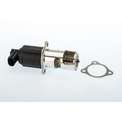 EGR ventil WAHLER 710950D/1