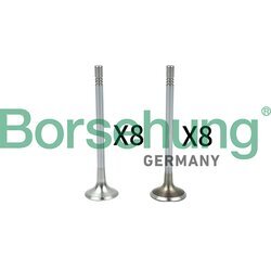Súprava ventilov, sací/výfukový ventil Borsehung B18629