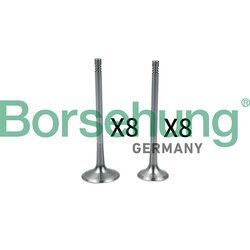 Nasávací ventil Borsehung B18637