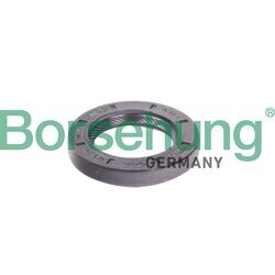Tesniaci krúžok hriadeľa manuálnej prevodovky Borsehung B12191