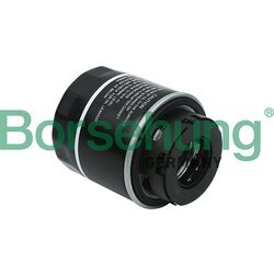 Olejový filter Borsehung B12814