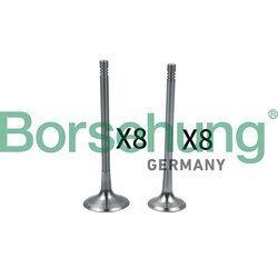 Nasávací ventil Borsehung B18634