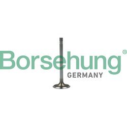 Nasávací ventil Borsehung B19022