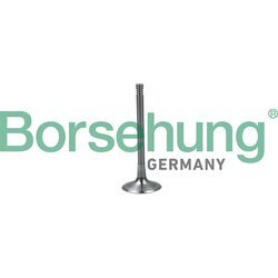 Nasávací ventil Borsehung B19024
