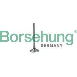 Nasávací ventil Borsehung B19026
