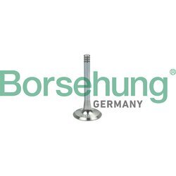Výfukový ventil Borsehung B19002