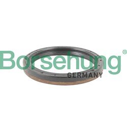 Tesniaci krúžok hriadeľa diferenciálu Borsehung B12198