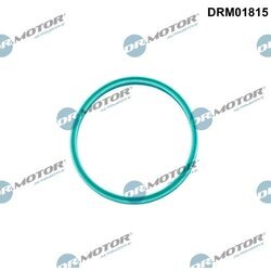 Tesniaci krúžok hadice plniaceho vzduchu Dr.Motor Automotive DRM01815