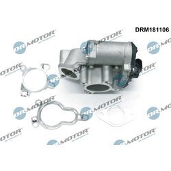 EGR ventil Dr.Motor Automotive DRM181106 - obr. 1