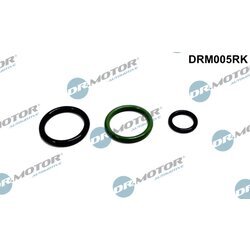 Sada na opravu jednotky čerpadlo-tryska (PDE) Dr.Motor Automotive DRM005RK