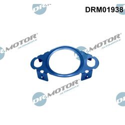 Tesnenie, Vedenie EGR ventilu Dr.Motor Automotive DRM01938