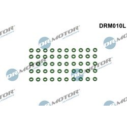 Tesniaci krúžok držiaka trysky Dr.Motor Automotive DRM010L