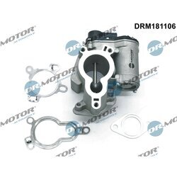 EGR ventil Dr.Motor Automotive DRM181106