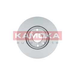 Brzdový kotúč KAMOKA 1036808 - obr. 1