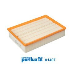 Vzduchový filter PURFLUX A1407