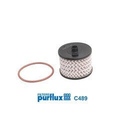 Palivový filter PURFLUX C489