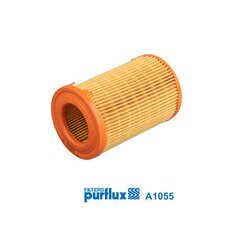 Vzduchový filter PURFLUX A1055