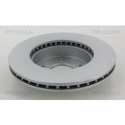 Brzdový kotúč TRISCAN 8120 101009C - obr. 1