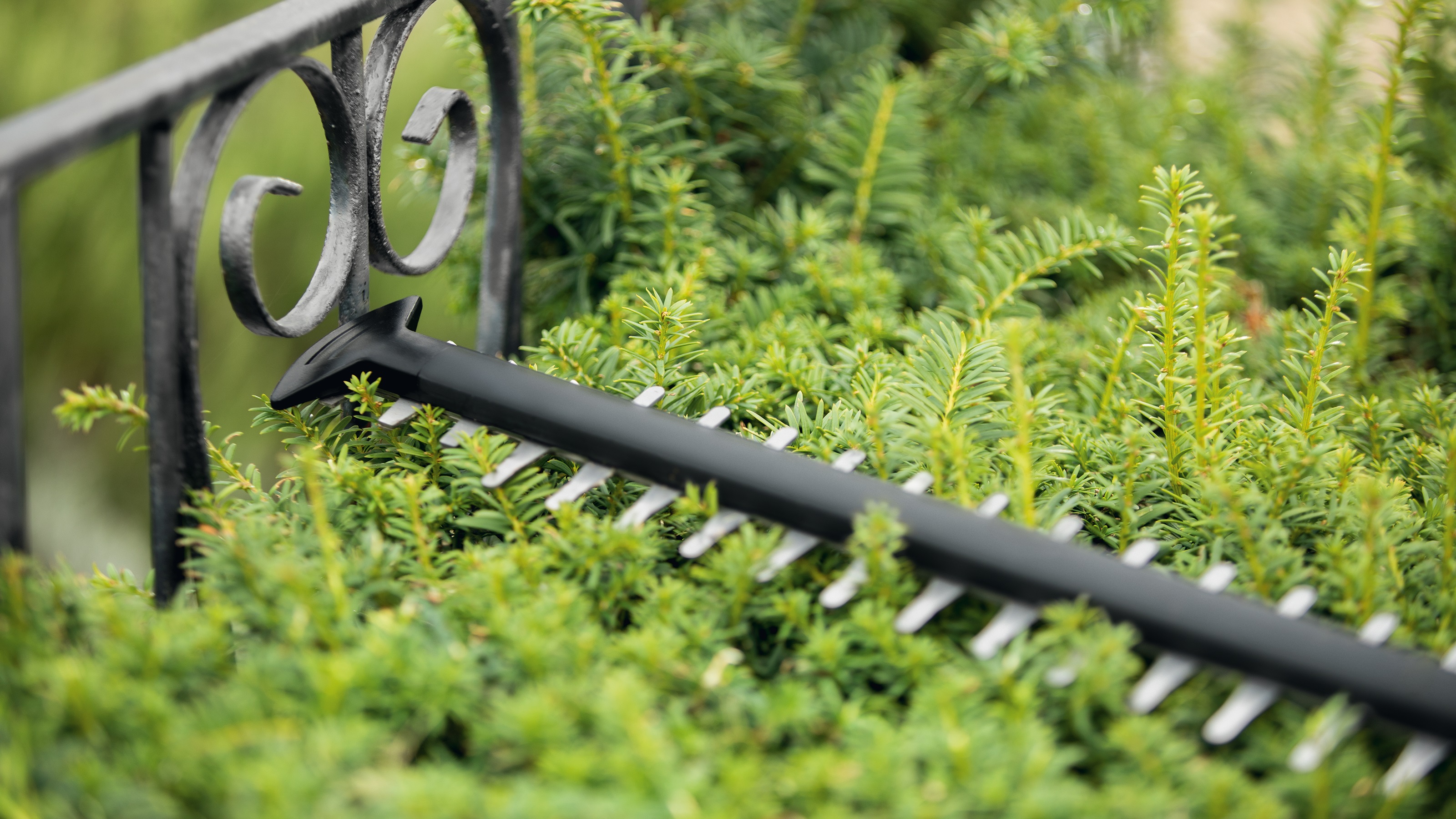 Bosch nožnice na živé ploty s ochranou hrotu pre strihanie popri stenách
