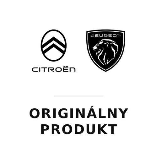 Olejový filter Peugeot / Citroën / DS 1109AY