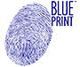 BLUE PRINT BLUE PRINT