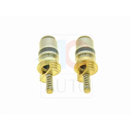 Ventil, servisny port AC-08XX113 /ACAUTO/ - obr. 1
