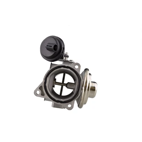 EGR ventil EGRAZ-7041 /AISIN/ - obr. 1