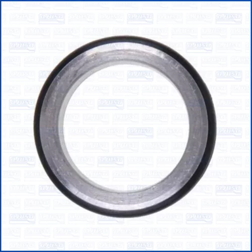 Tesnenie AJUSA 01455000