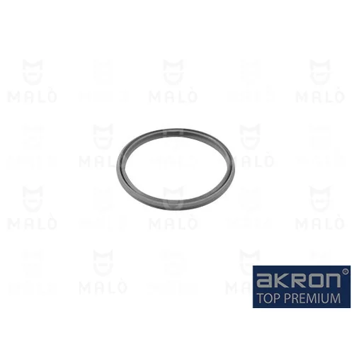 Tesniaci krúžok hadice plniaceho vzduchu AKRON-MALO 17040FL