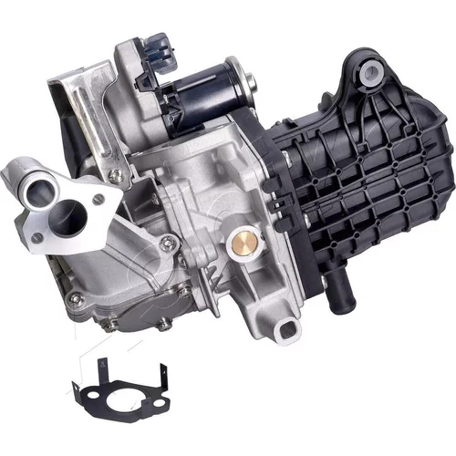 EGR ventil ASHIKA 150-00-0606