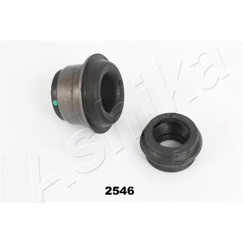 Uloženie riadenia ASHIKA GOM-2546
