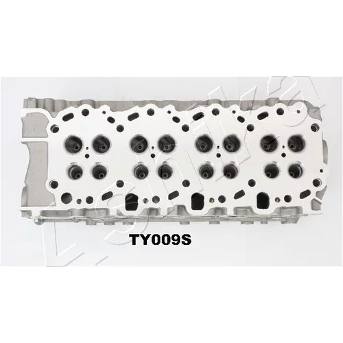 Hlava valcov motora TY009S /ASHIKA/ - obr. 5
