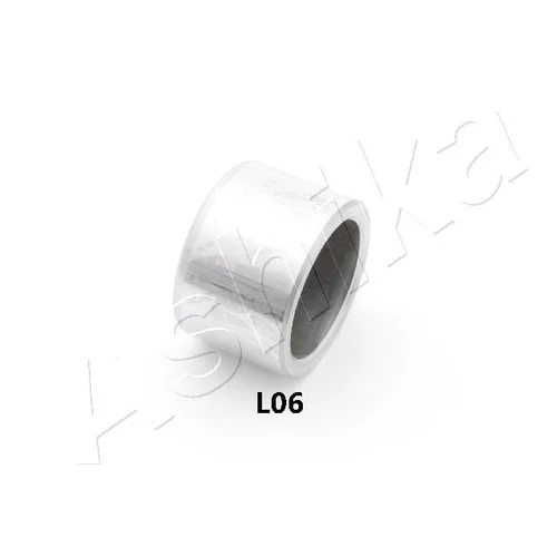 Piest brzdového strmeňa ASHIKA 133-0L-L06