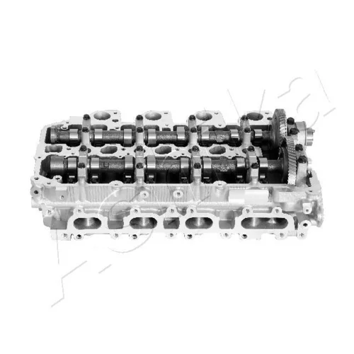 Hlava valcov motora ASHIKA MI032S