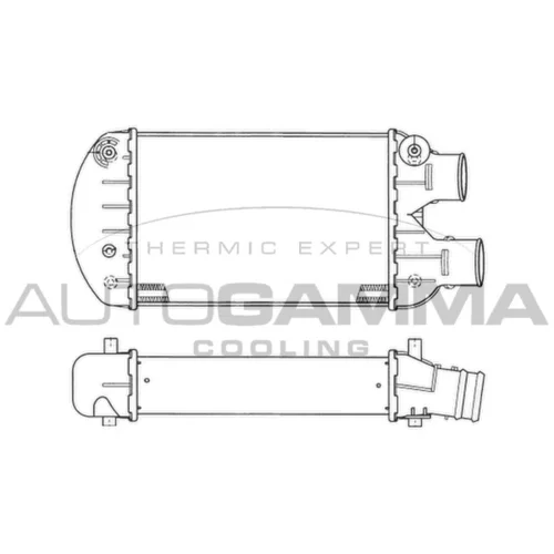 Chladič plniaceho vzduchu AUTOGAMMA 102389