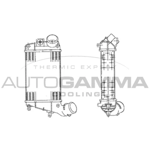 Chladič plniaceho vzduchu AUTOGAMMA 103008