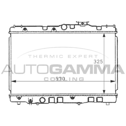 Chladič motora AUTOGAMMA 100997