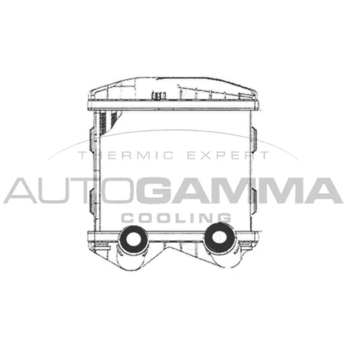 Chladič plniaceho vzduchu AUTOGAMMA 102409