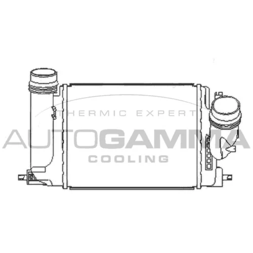 Chladič plniaceho vzduchu AUTOGAMMA 107804