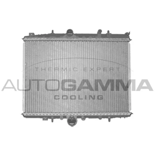 Chladič motora AUTOGAMMA 101348