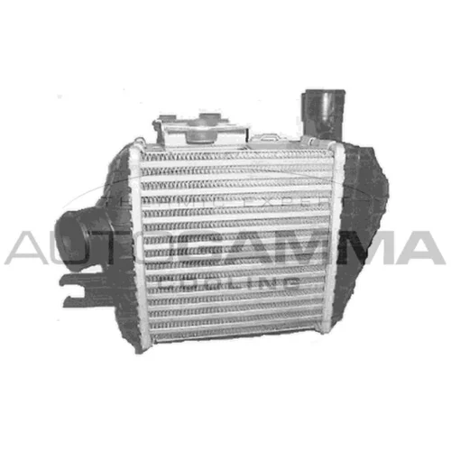 Chladič plniaceho vzduchu 104940 /AUTOGAMMA/