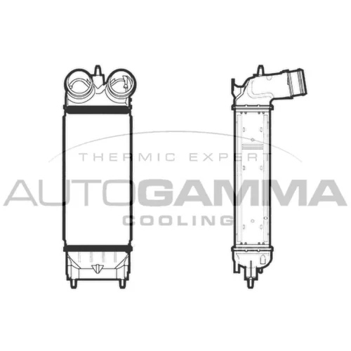 Chladič plniaceho vzduchu AUTOGAMMA 105888