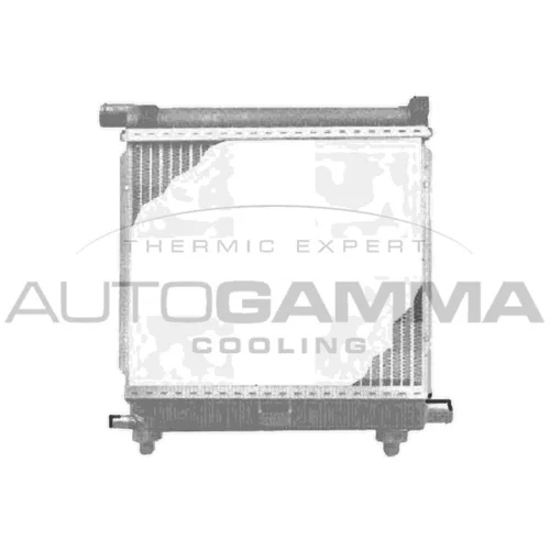 Chladič motora AUTOGAMMA 100511