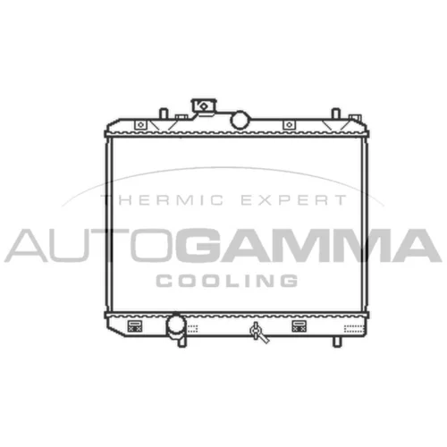 Chladič motora AUTOGAMMA 105493