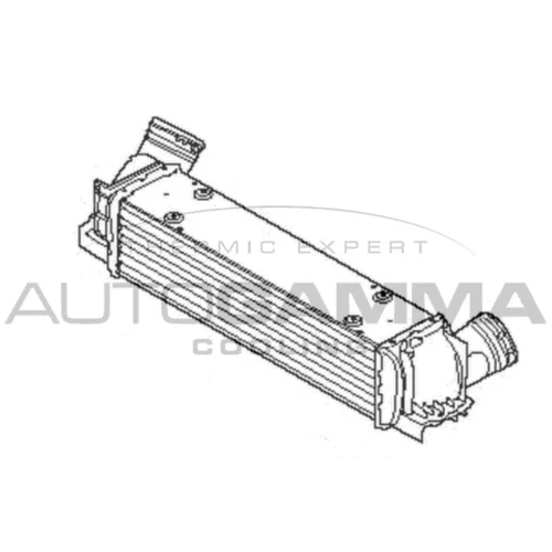 Chladič plniaceho vzduchu AUTOGAMMA 107334