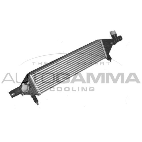 Chladič plniaceho vzduchu 107395 /AUTOGAMMA/