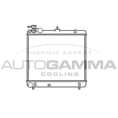 Chladič motora AUTOGAMMA 105127