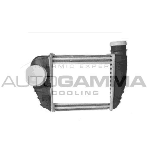 Chladič plniaceho vzduchu AUTOGAMMA 105719