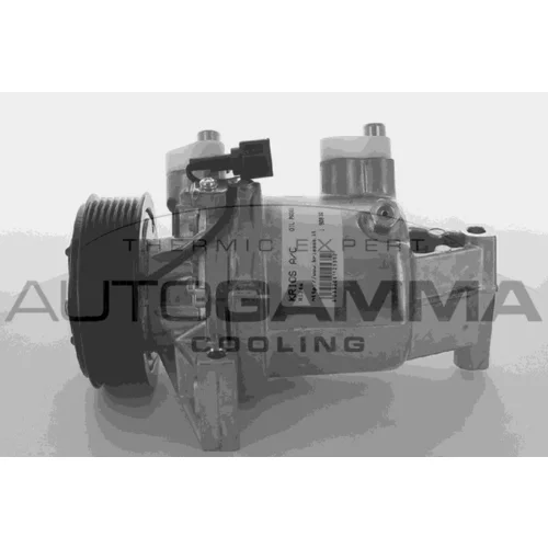 Kompresor klimatizácie AUTOGAMMA 108998