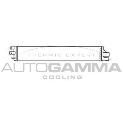 Chladič motora AUTOGAMMA 107233